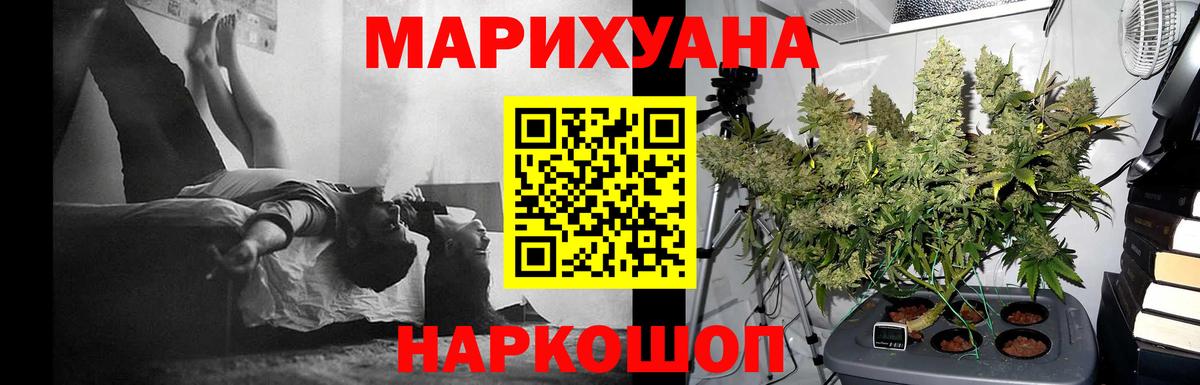 Бошки Шишки марихуана  Бошки Шишки White Widow  Гусиноозёрск  Бошки Шишки план  Канабис конопля  Вход с VPN 